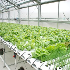 Nhựa nông nghiệp