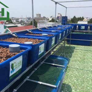 Bán thùng nhựa vuông 200 lít giá rẻ