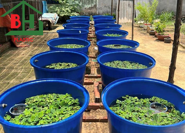 489337628 1203155235143038 7970033980904298611 N