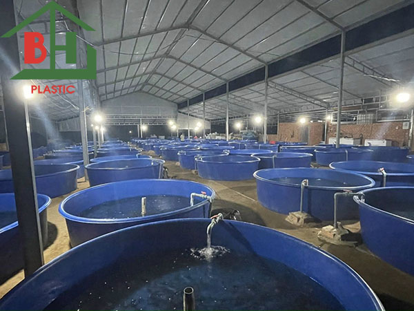 Cac Loai Thung Nhua Nuoi Ca Pho Bien 2