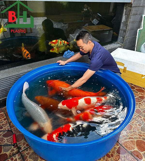 Cac Loai Thung Nhua Nuoi Ca Pho Bien